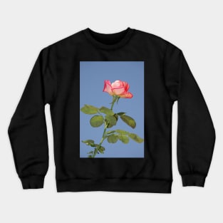 Beautiful rose flower Crewneck Sweatshirt